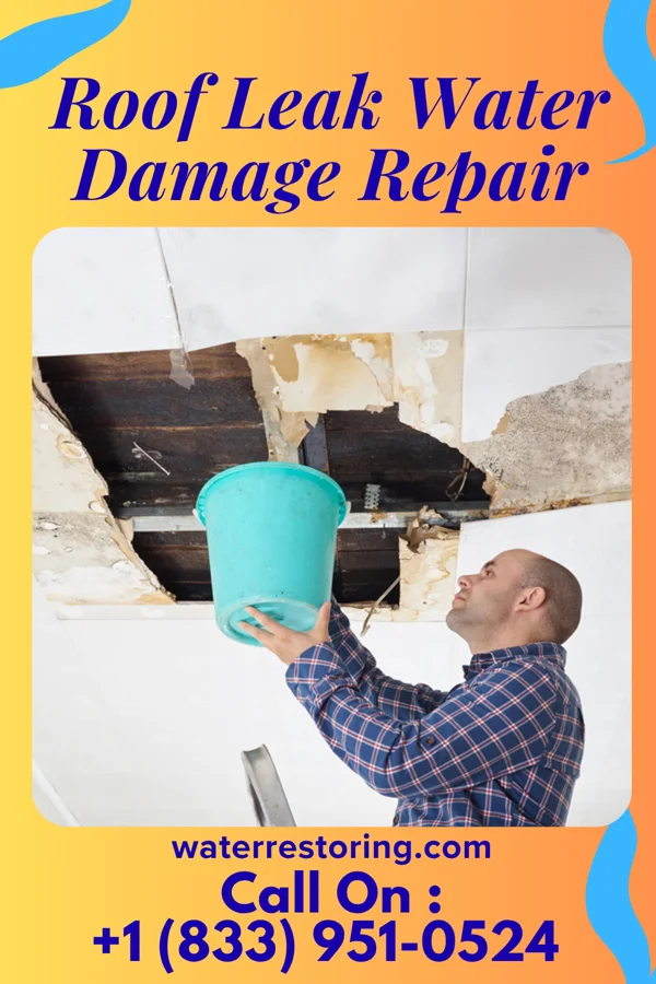Roof Leak Water Damage Repair in Monetta, SC